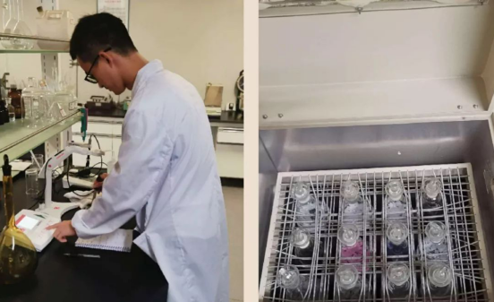 1608105130444433.png image.png