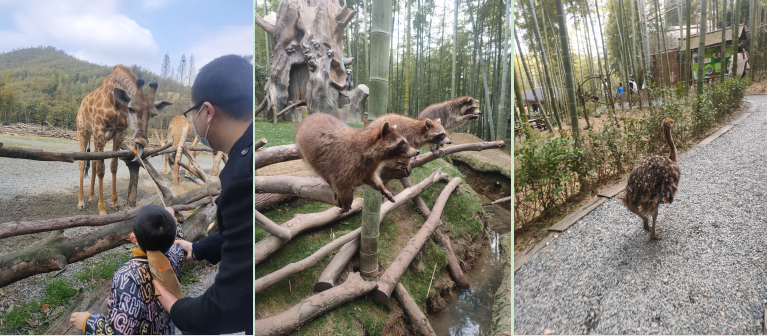 1623918837790747.png 圖片2.png